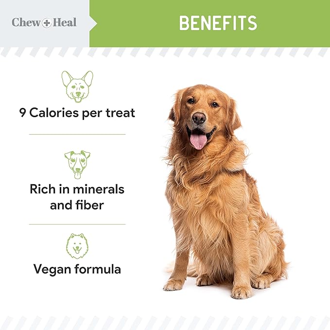 Chew + Heal Labs Low Calorie Dog Jerky Treats - 5 oz of Vegan Plant Based Natural Dog Treats with Chia Seeds, Fruits, and Vegetables - Good for Weight Management - Made in The USA