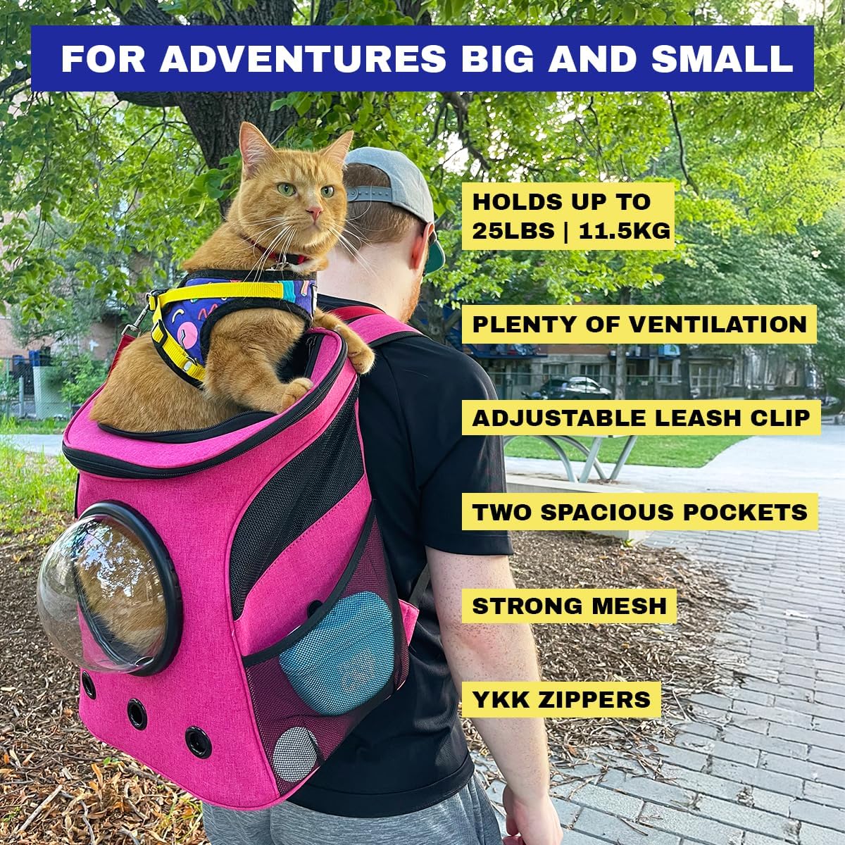 Fat Cat Backpack Carrier - Airline Approved Cat Carrier with Space Capsule Bubble for for Small Cats, Kitten - Premium Deep Rose Pink Cat Carrier Backpack for Outdoor, Travel, Hiking, Pet Supplies