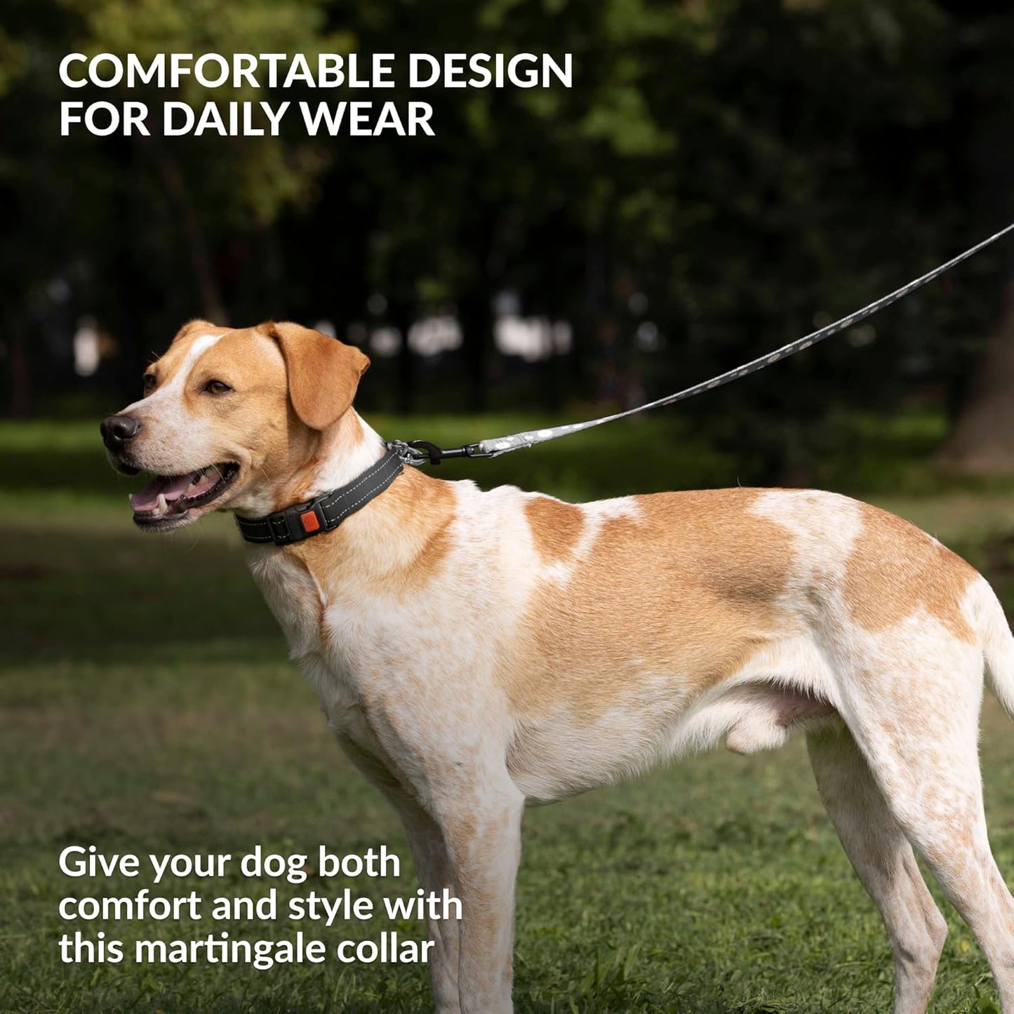 CollarDirect Martingale Dog Collar with Stainless Steel Chain and Quick Release Buckle - Reflective Collar for Large, Medium, Small Dogs - Black, Large (Neck Size 17"-22")