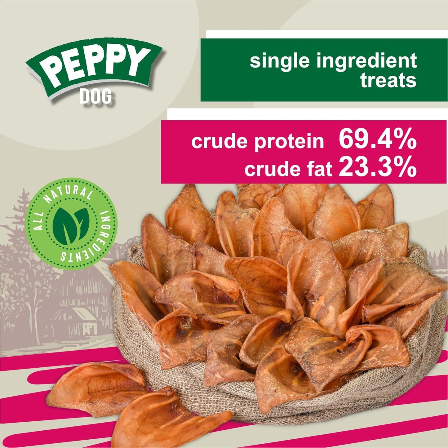 Full Pig Ears for Dogs (25 Count, 2.3 lb) | Natural Single Ingredient Dog Treats | Rawhide Alternative | Healthy Chews by Gnaws