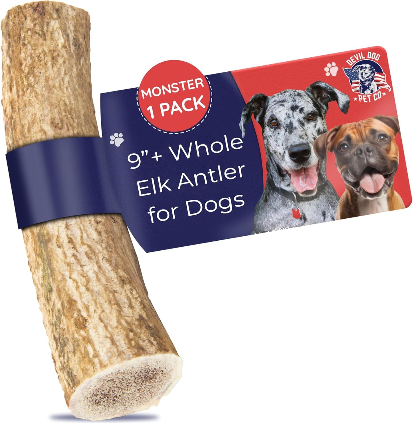 Devil Dog Pet Co. Elk Antlers for Dogs, Monster 9"+, 1 Pack, Grade A Long Lasting Chew for Aggressive Chewers, Premium USA Naturally Shed Antler – Healthy, No Odor, Durable Dog Chew