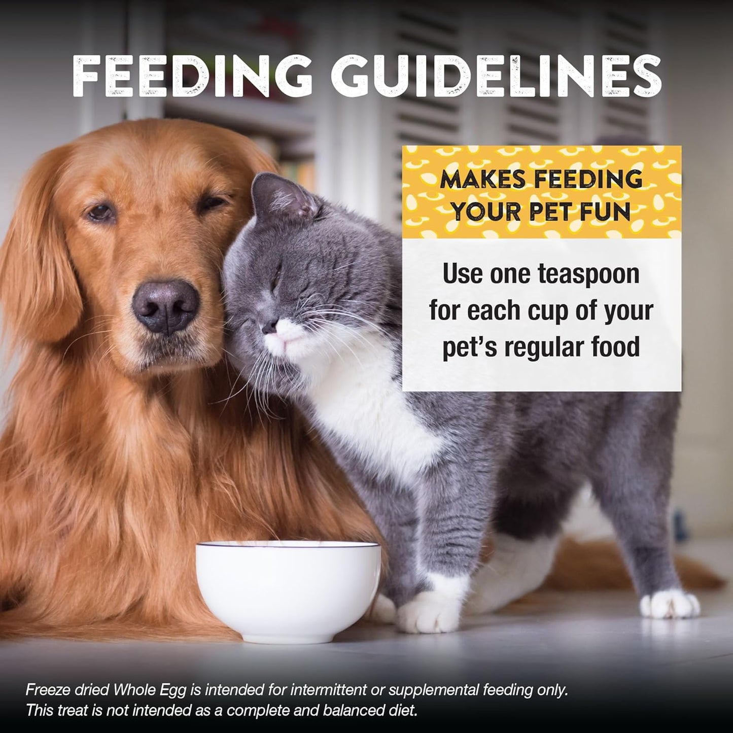 Northwest Naturals Freeze-Dried Whole Chicken Egg Functional Topper - for Dogs & Cats - Healthy, 1 Ingredient, Human Grade Ingredients, All Natural, Proudly Made in USA, 4 Oz (Pack of 1)