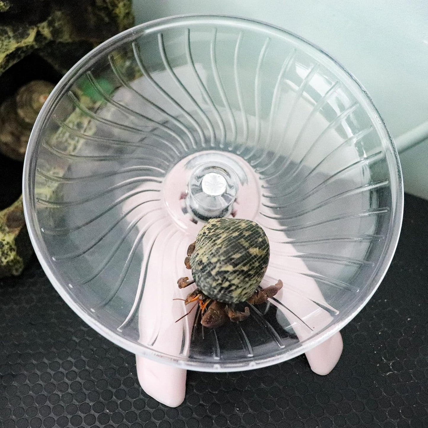 Hermit Crabs Wheel Toy, Hamster Running Wheel Toys, Small Animals Cage Accessory, Tank Accessory, Suitable for Hermit Crab Hamster Rat