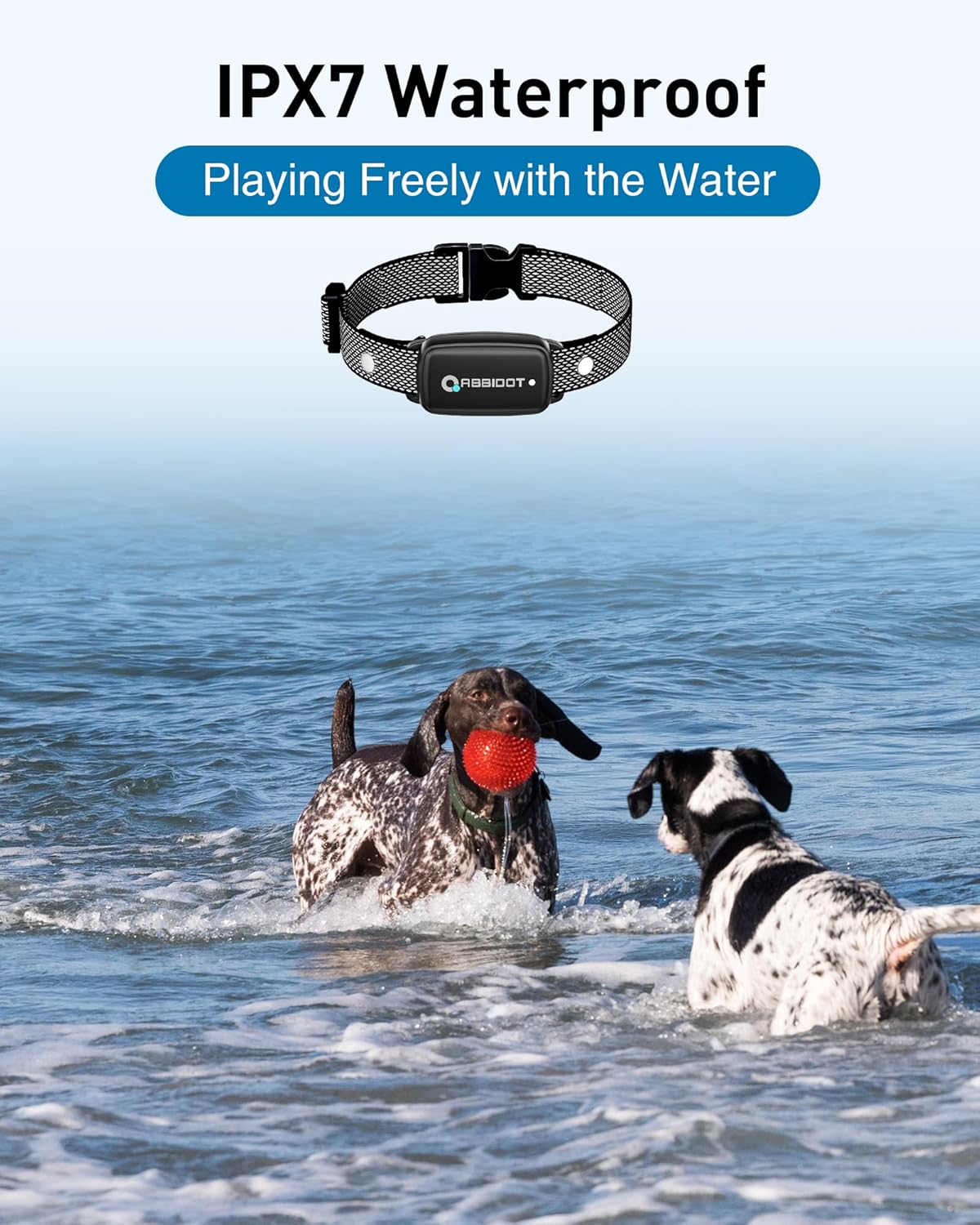 ABBIDOT Dog Shock Collar, 3300 FT Dog Training Collar with Remote, IPX7 Waterproof with 4 Training Modes, Rechargeable E-Collar for Small Medium Large Dogs (5-120 lbs)