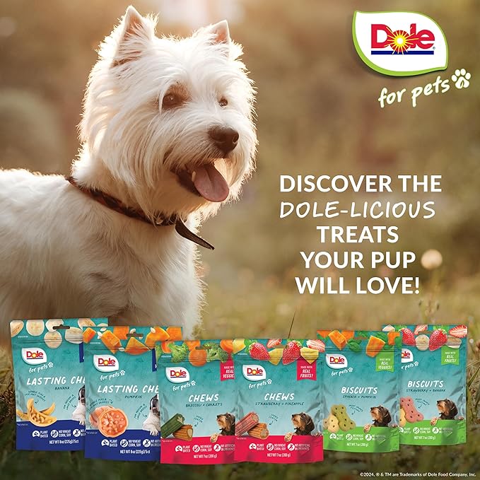 Dole for Pets Freshly Fetched Dog Chews, Assorted Broccoli & Carrot Flavor Dog Treats | Flavored with Real Veggies, No Wheat, Corn, Soy, Artificial Flavors, Colors, or Preservatives, 7 Ounce - 6 Pack