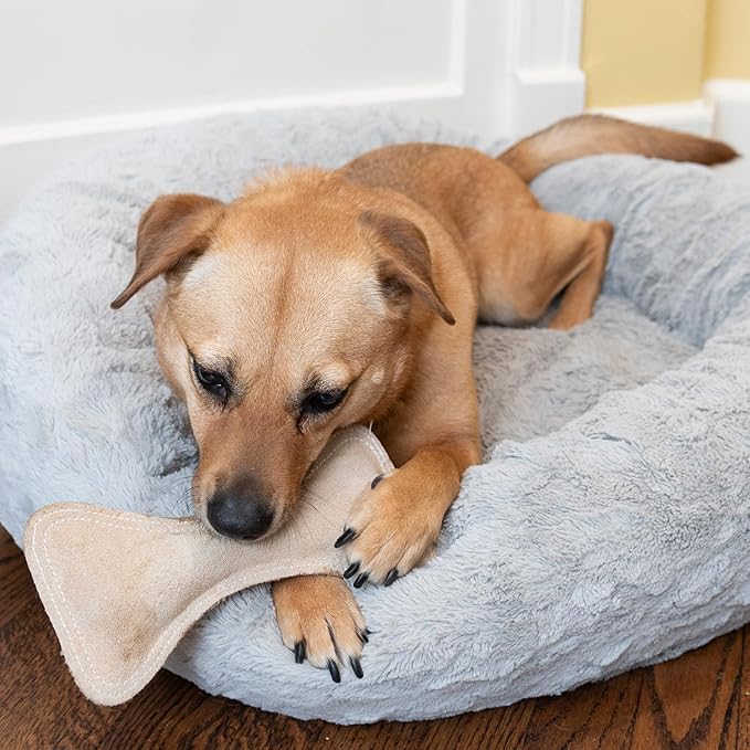 SPOT Dura-Fused Leather Bone- Durable Dog Toy with Squeaker, Real Leather & Jute Fabric, Interactive Toy for Moderate & Aggressive Chewers, Medium & Large Dogs and Puppies, 9 inch