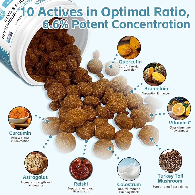 Dog Allergy & Itch Relief Chews – Quercetin, Bromelain, Colostrum & Mushroom Extracts – Skin & Ear Soothing Support for Yeast Infection, Hot Spots & Seasonal Allergies - 120 Treats