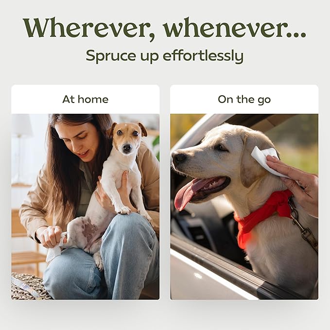 Pawfume Dog Wipes 2 x 100 Count, Pet Wipes – Hypoallergenic & Gentle Dog Wipes for Eyes, Face, Butt, and Paws – Cleaning & Deodorizing, Grooming Tear Stain Wipes for Puppy, Adult Dogs & Cats