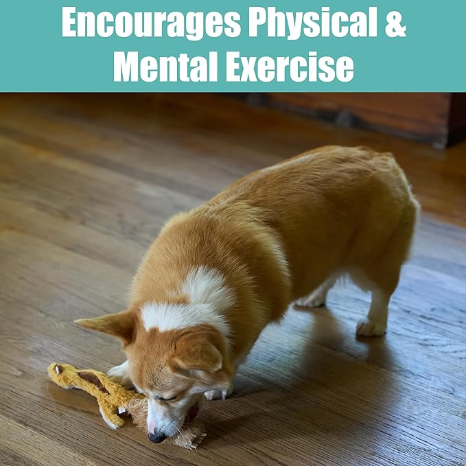 SPOT Skinneeez Flying Squirrel 14 Inch Stuffing-Free Plush Squeaky Dog Toy – Soft Tug-of-War Toy for Small and Medium Dogs – Mess-Free Interactive Chew Toy for Moderate Chewers