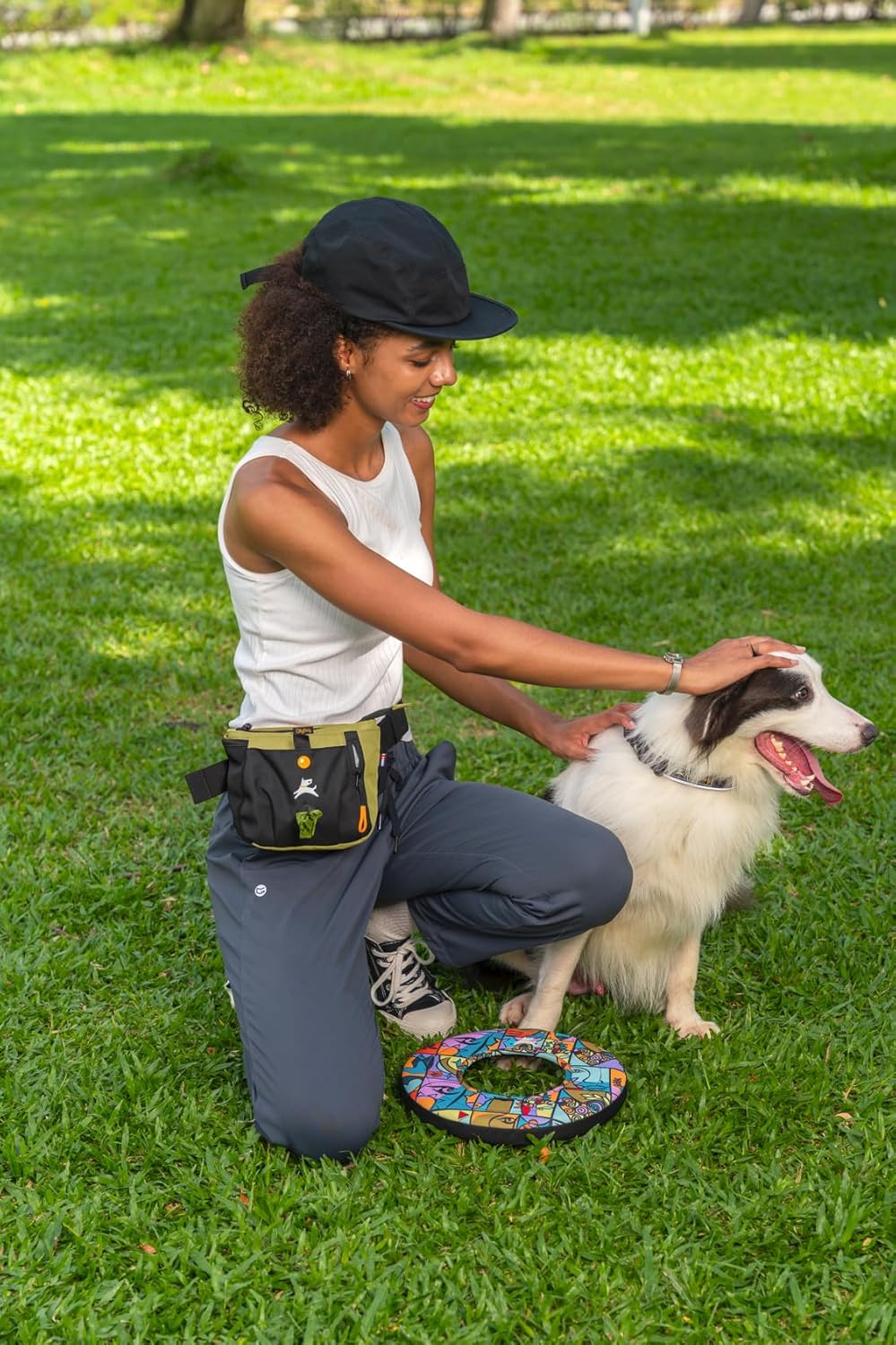 OllyDog Backcountry Day Bag | Hands-Free Dog Training Treat Pouch | Fanny/Hip Pack with Zipper Closure & Built-in Poop Bag Dispenser | Removable Waist Clip (Alchemy)