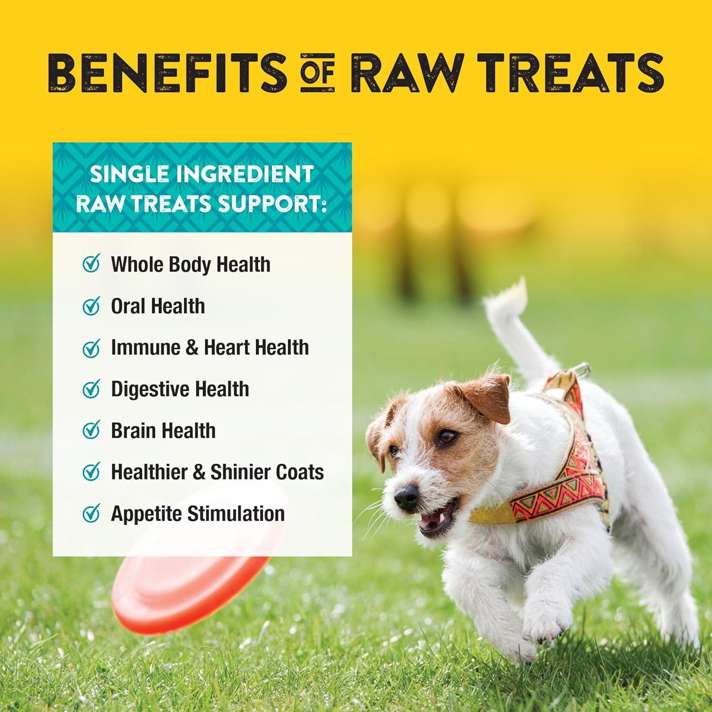 Northwest Naturals Raw Rewards Freeze-Dried Chicken Breast Treats for Dogs and Cats - Bite-Sized Pieces - Healthy, 1 Ingredient, Human Grade Pet Food, All Natural - 3 Oz