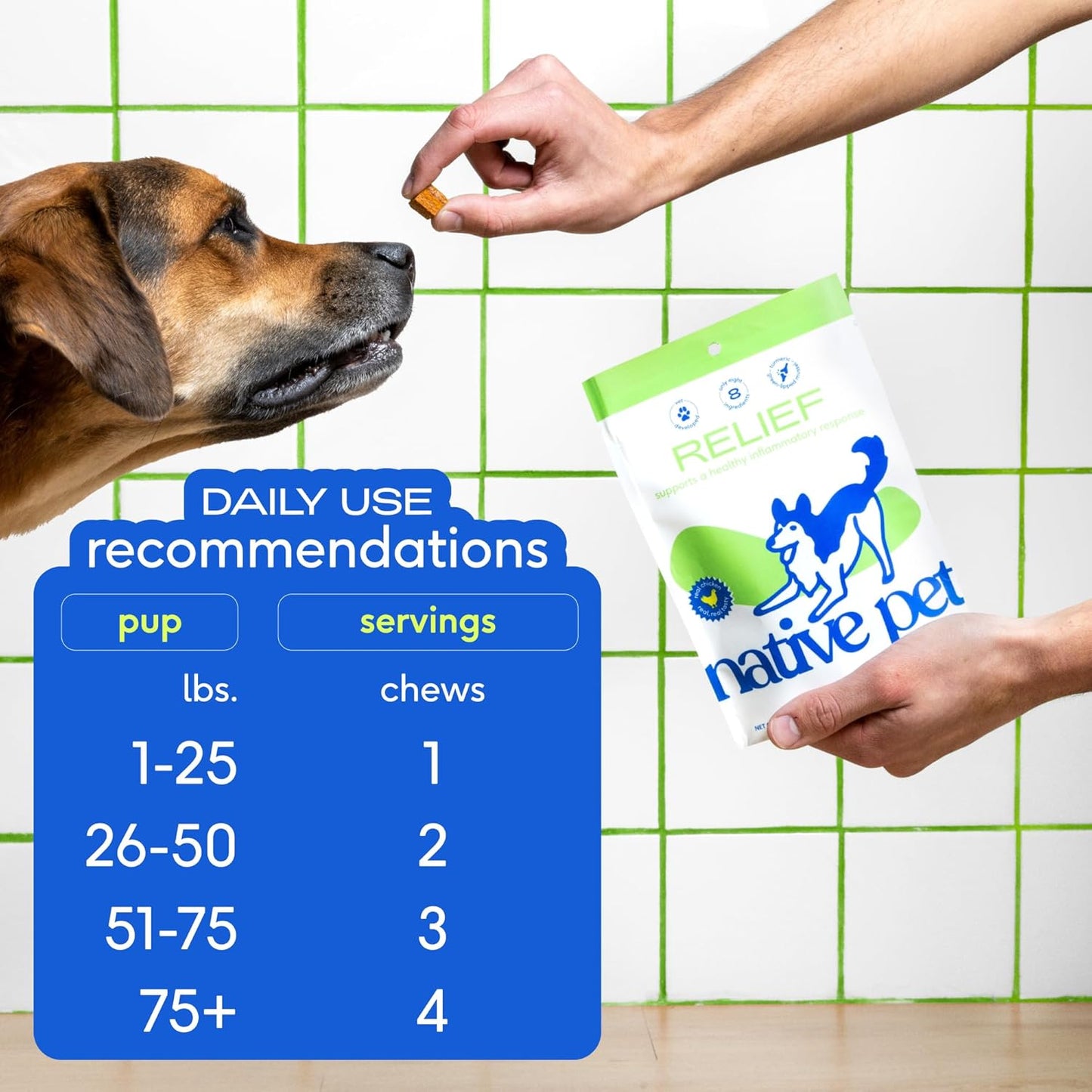 Native Pet Pain Relief for Dogs - Collagen for Dogs Promotes Joint Health, Reduce Inflammation & Stiffness - Senior Pup Joint Supplement - Natural Pain Reliever for Active & Aging Pets - 60 Chews