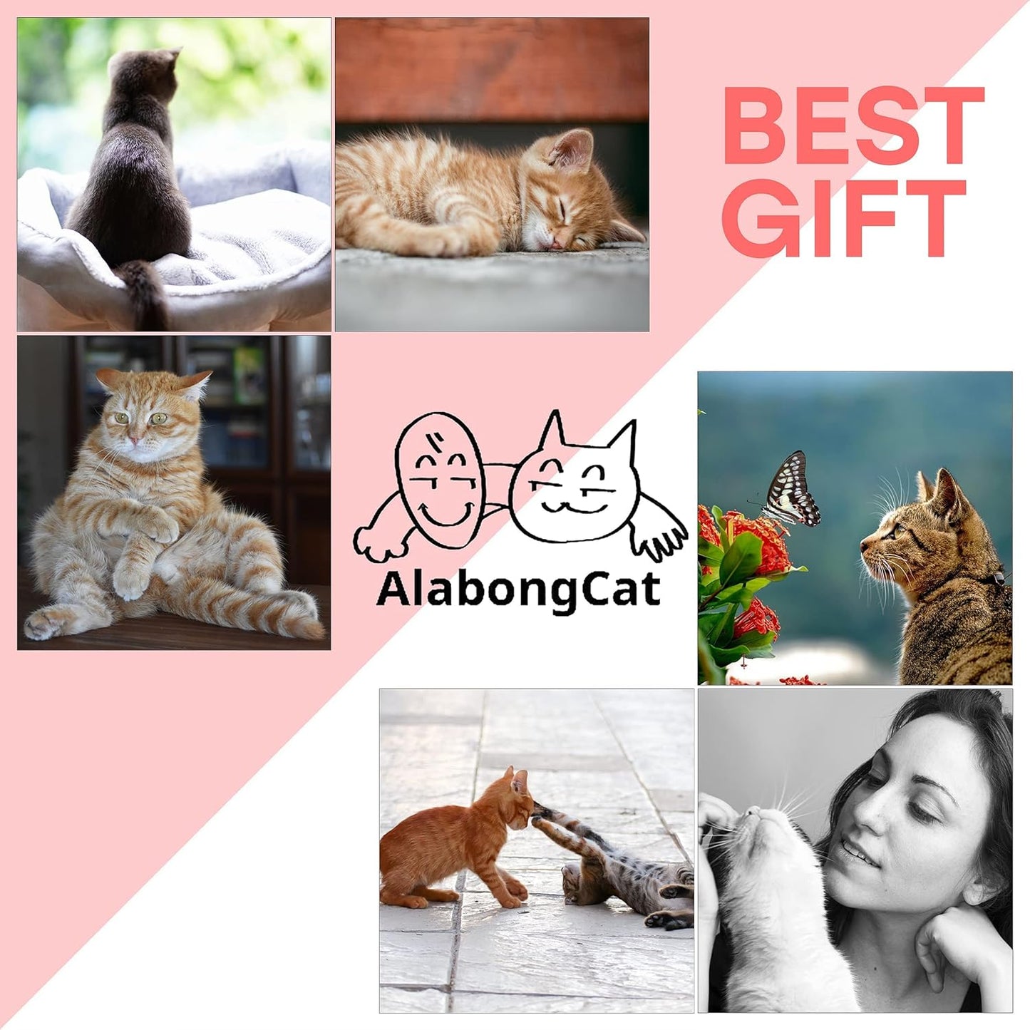 Interactive Cat Toy, A Chicken Catnip Toy and Pink & Green Plush Cat Teaser Wand Toys - Funny, Entertaining, and Stimulating Indoor Cats and Kittens Toys, 3-Piece Set