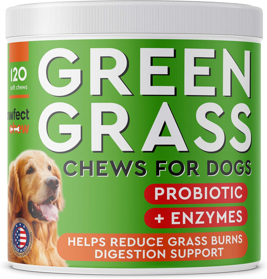 PAWFECTCHEW Green Lawn Chews for Dogs - Green Grass Chews - Urine Neutralizer Grass Burn Spots - Lawn Burn from Dog Urine - Probiotics & Enzymes - Made in USA - Bacon Flavor - 120 Lawn Saver Chews