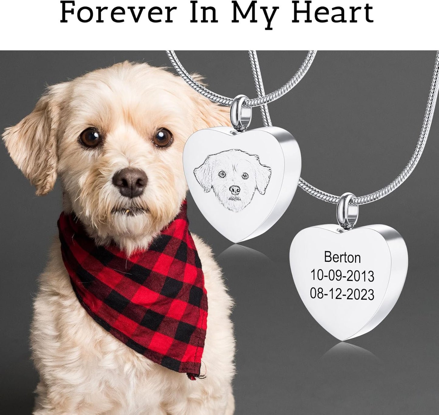 MeMeDIY Personalized Heart Paw Print Ashes Urn Pendant Necklace Custom Name/Photo/Date for Women Men Pet Lover Stainless Steel Memorial Dog Cat Pet Keepsake with Funnel Fill Kit Angel Wing