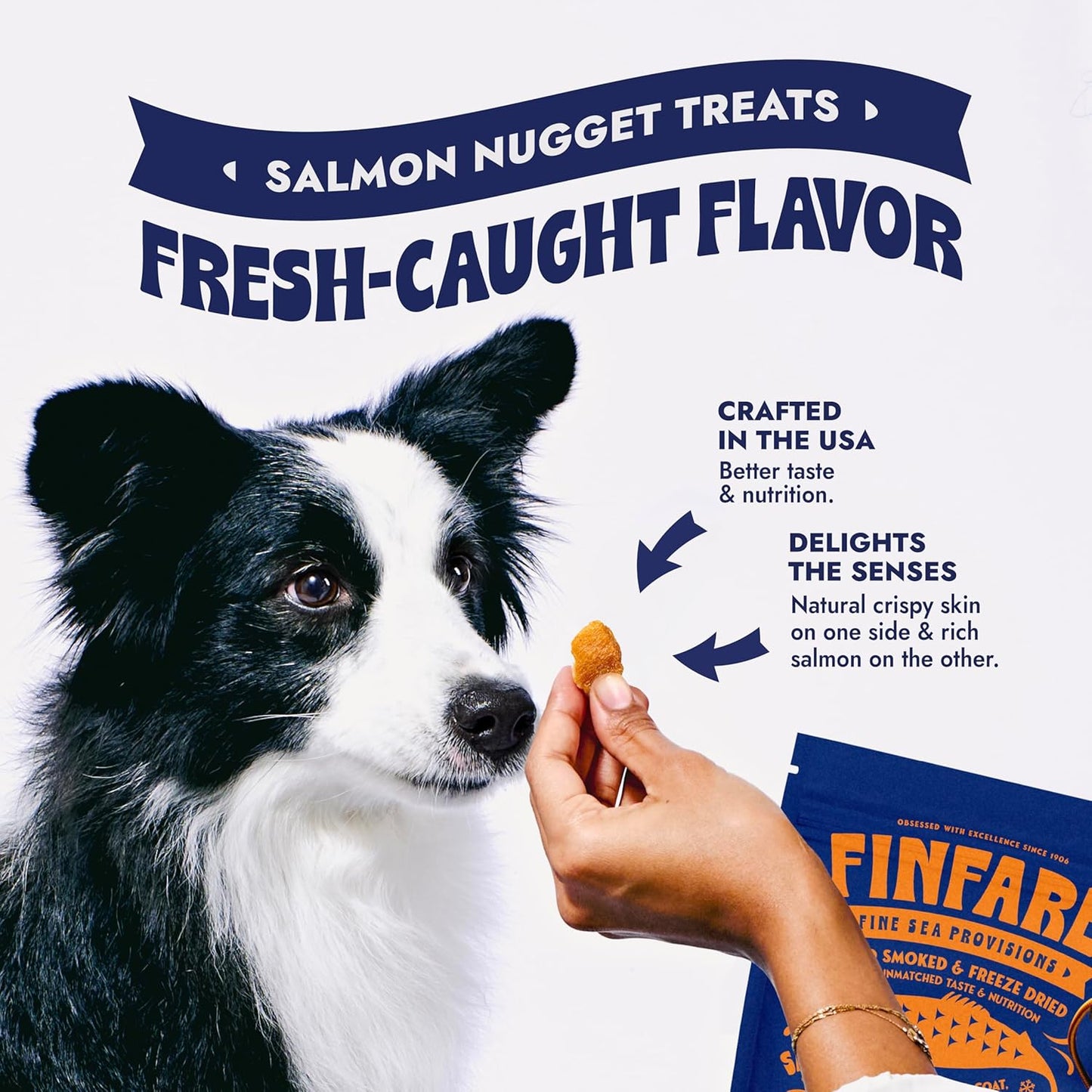 Finfare Freeze Dried Dog Treats, Salmon Nuggets, Protein & Omega-3s, Grain Free Salmon Dog Training Treats, Crafted in USA, 9oz