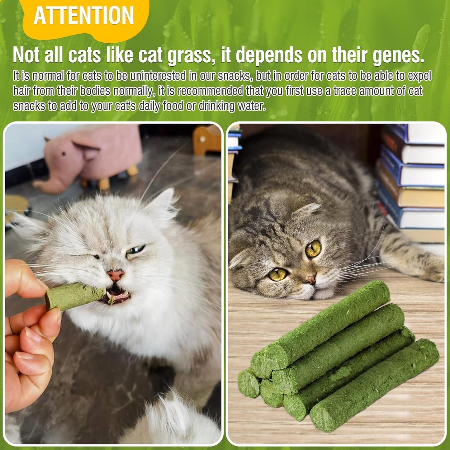 HavenJanny 100g/3.52oz Cat Grass Teething Stick for Cat, Cat Grass Stick Canned for Indoor Cats, Cat Grass Treats Hairball Relief and Teeth Cleaning