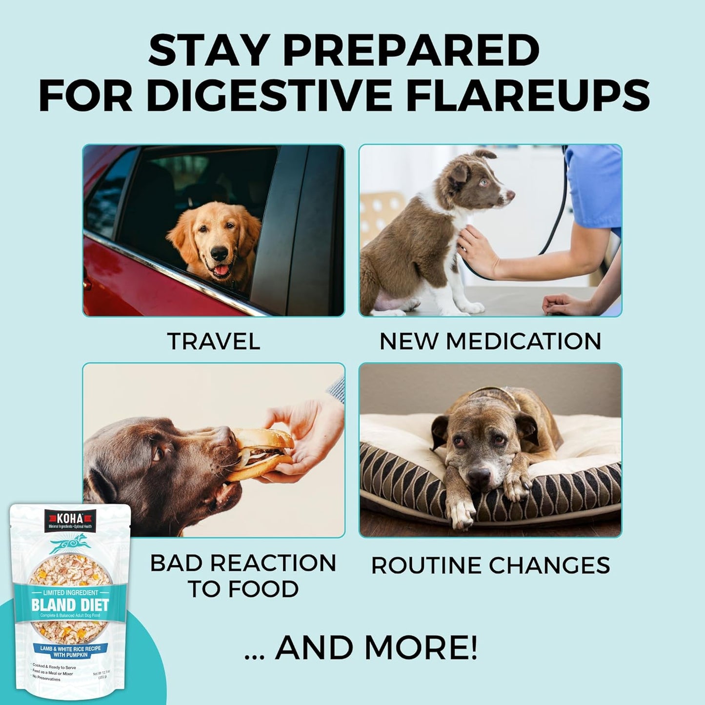 KOHA Pet Limited Ingredient Bland Diet for Dogs, Lamb and White Rice Recipe Sensitive Stomach Wet Dog Food, Gentle Formula Easy to Digest Bland Diet Dog Food, Pack of 6