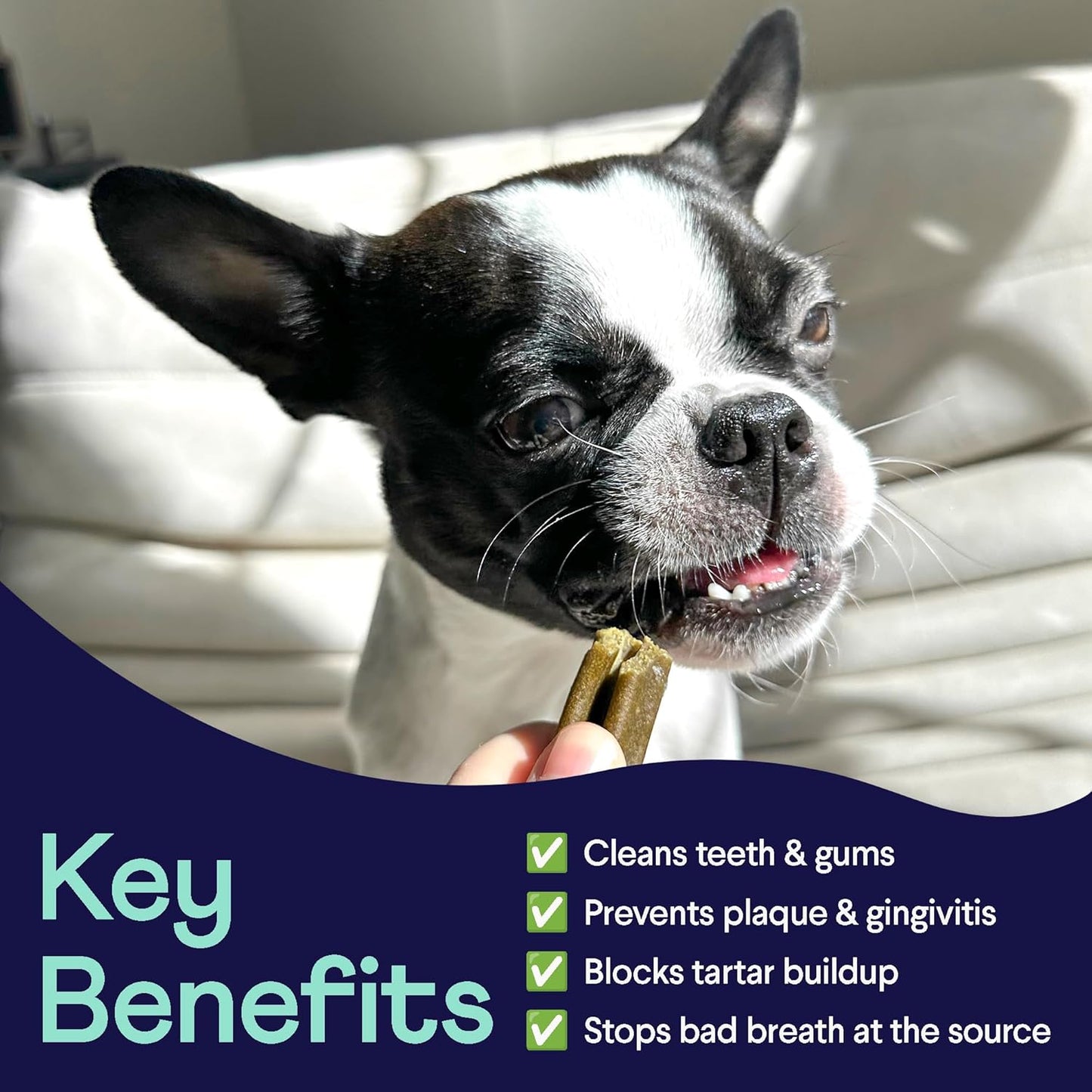 Finn Plaque Patrol Dental Chews (XS/S Dogs (20 Count))