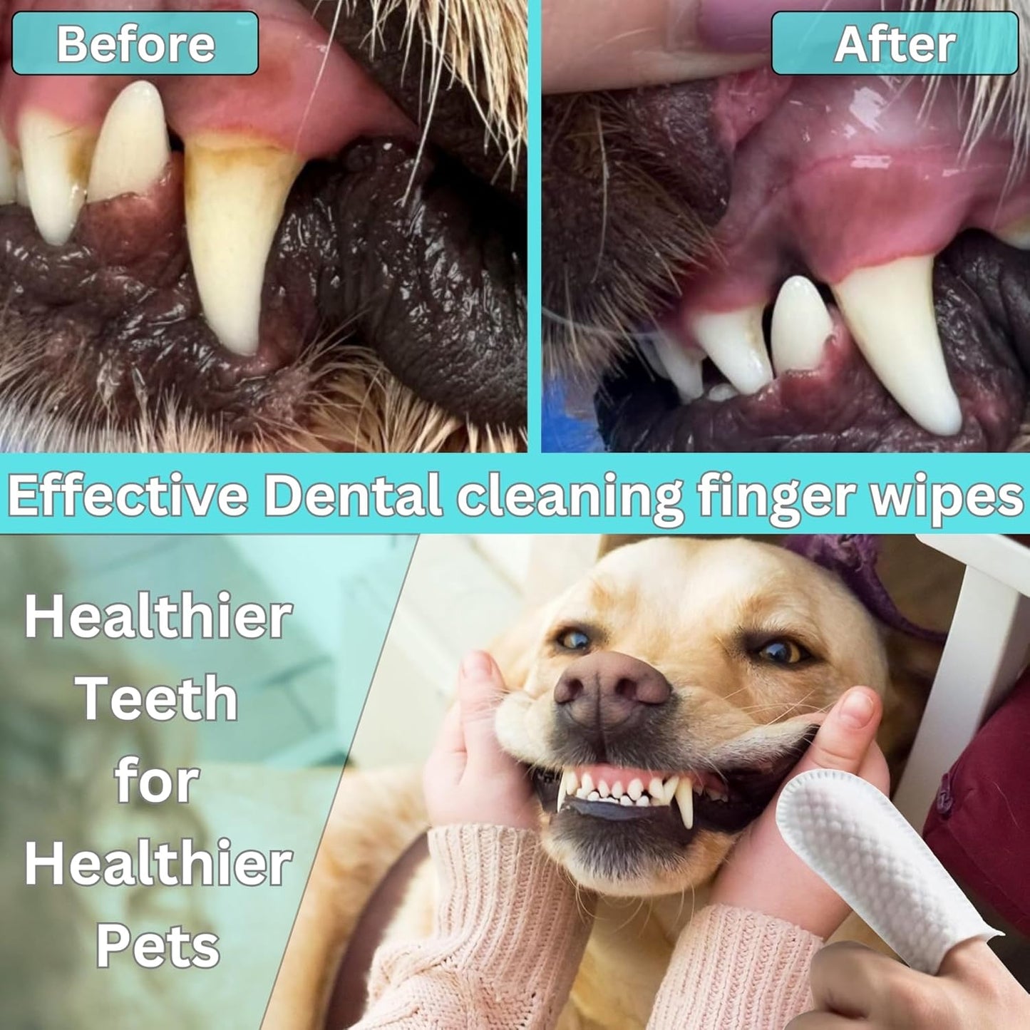 Pet Dental Finger Wipes for Dogs & Cats – Dog Tooth Wipes & Toothbrush Alternative – Easy Teeth Cleaning to Reduce Plaque, Tartar & Bad Breath – Vet-Approved Cat & Dog Oral Care (2 Pack)