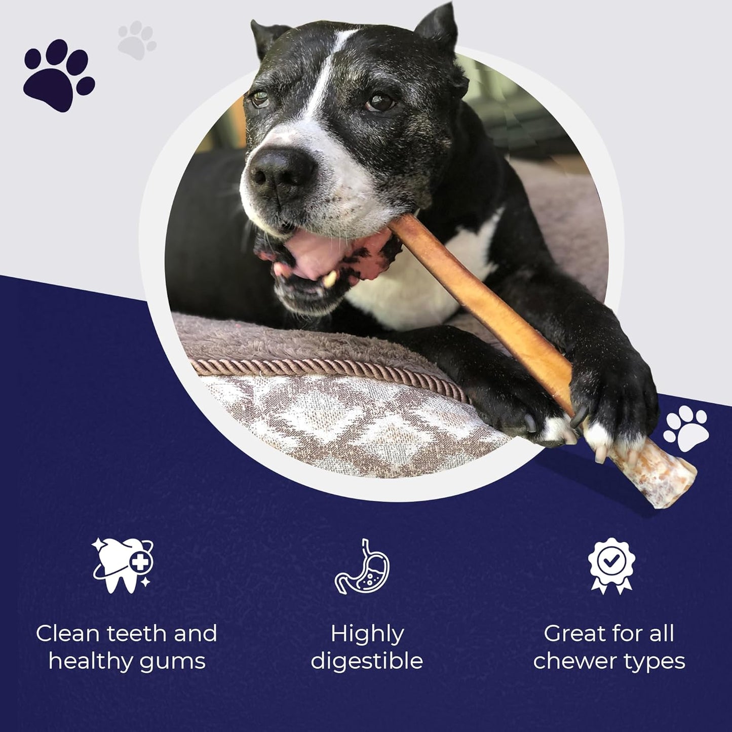 Devil Dog Pet Co. Bully Sticks – 12 Inch, 5 Pack, Standard Sized Dog Chews, 100% Natural, Single Ingredient, Free-Range Grass-Fed Beef – Long Lasting, Rawhide-Free Treats for Dogs