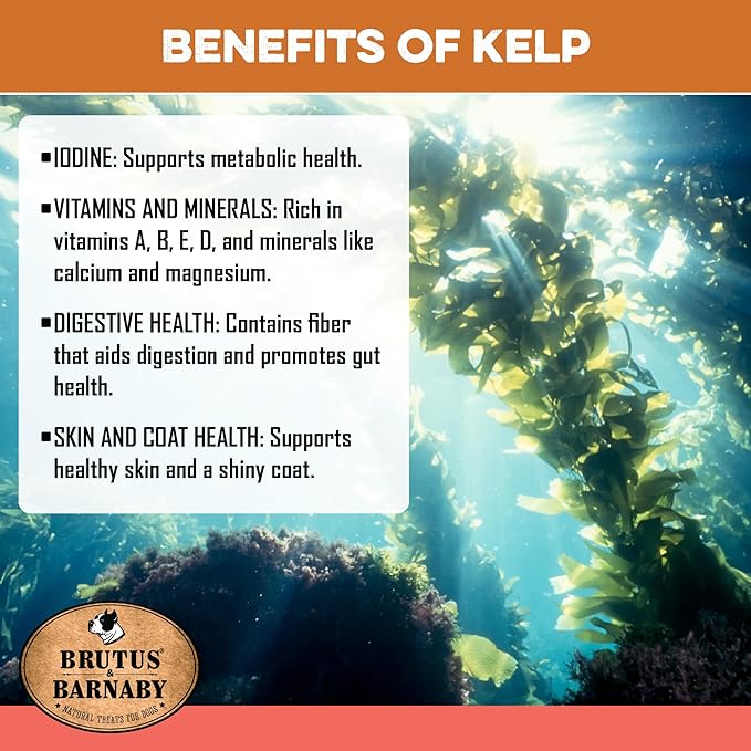 Sweet Potato Dog Treats - Grain Free, Salmon & Kelp Crunchy Sticks - Great Tasting, Promotes Positive Dog Gut Health with Natural Anti-Diarrhea Properties, No Preservatives Added (2lb Bag)