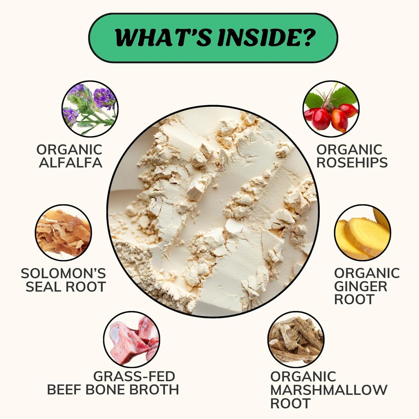 Fido's Mobility Bone Broth for Dogs - Grass-Fed Beef Bone Broth Powder & Organic Herbs - Joint Supplement for Dogs - Dog Food Topper for Dry Food - 60 Scoops