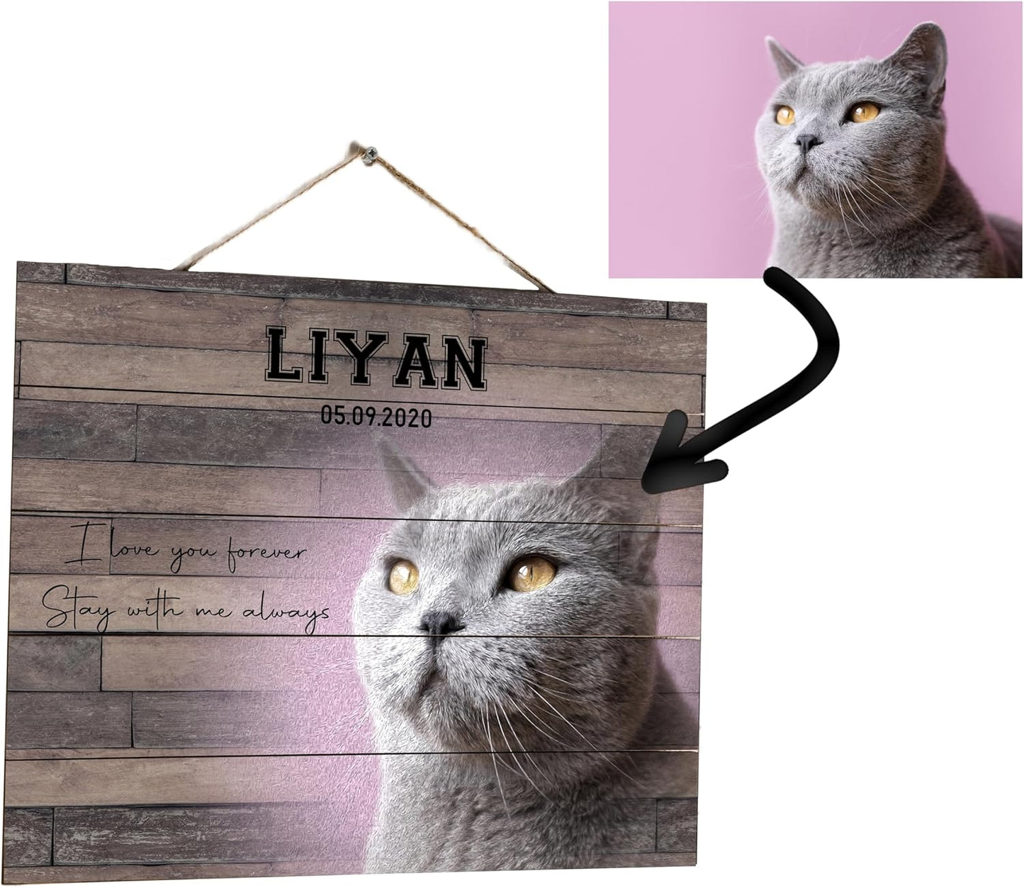 Custom Pet Memorial Night Light Gift Personalized Cat Acrylic Plaque Photo Frame Sympathy Gift Condolence Gifts with Picture Name (Cat Memorial)