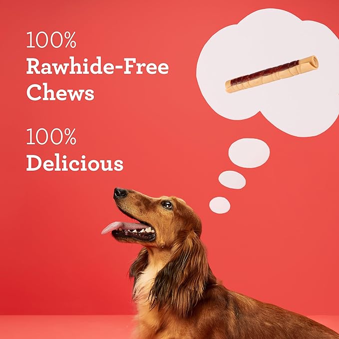 DreamBone DreamSticks, Rawhide Free Dog Chew Sticks Made with Real Chicken and Vegetables, 9 Sticks