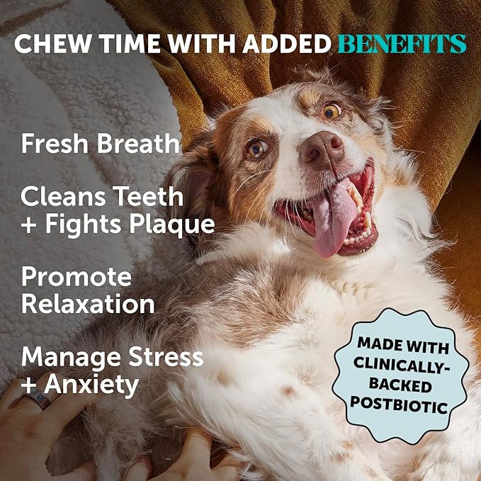 Pet Honesty Calming Fresh Sticks for Dogs – Dental Chews to Support Relaxed Behavior, Oral Health, and Fresh Breath – (30 ct)