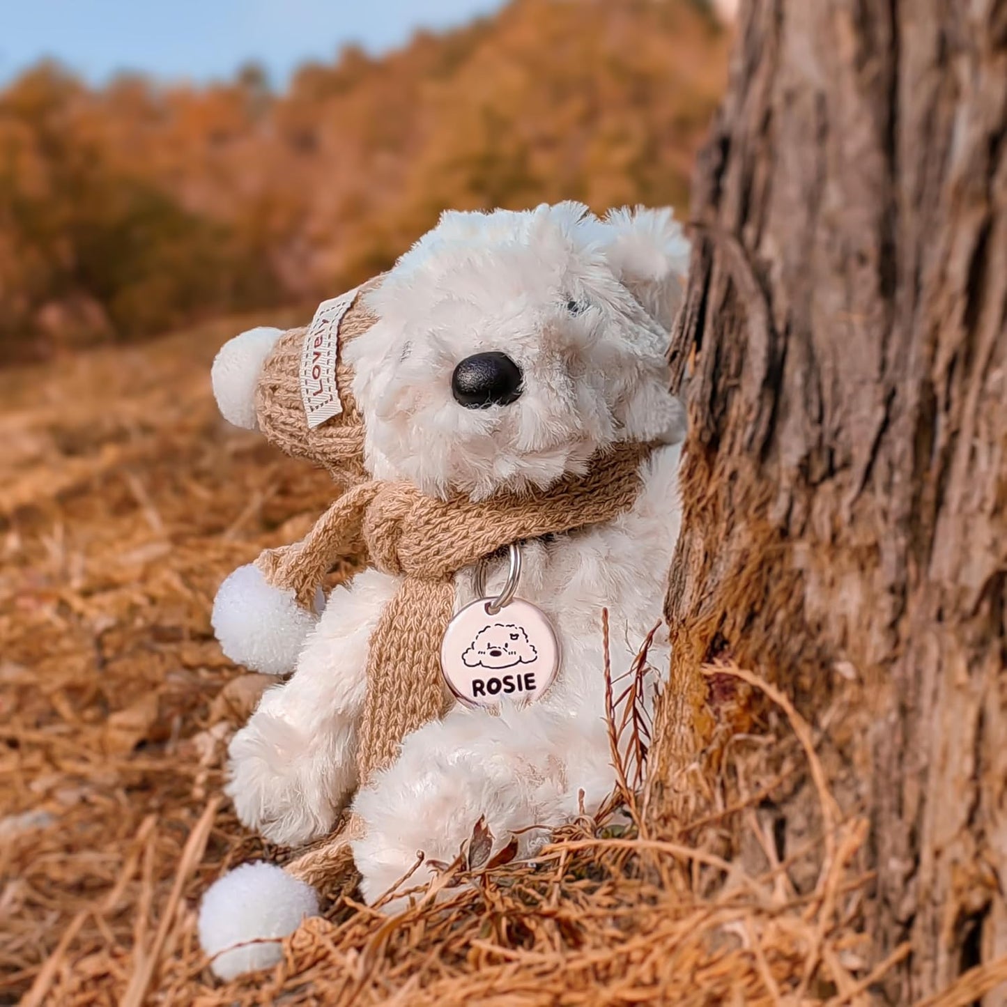 Cats Dogs Original Portrait Design for Cat Dog ID Tags – Stainless Steel Deep Engraving Customized Dog Collar Accessories (Round)