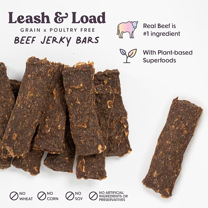 Superfood Dog Treats Salmon, Chicken or Beef Jerky Bars - Dog Treats for Snacks and Training – Made in USA - No Corn, Wheat or Soy – Poultry Free (5 Ounces, Beef)