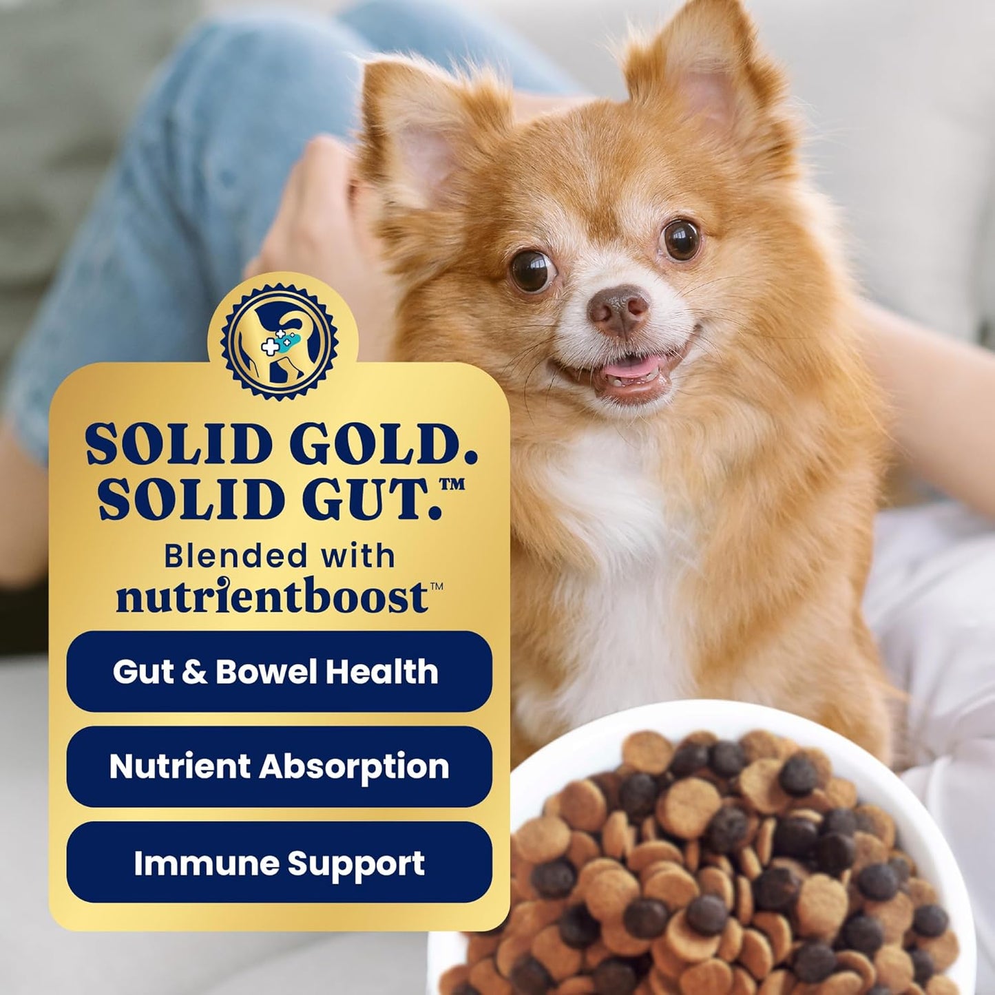 Solid Gold Toy & Small Breed Dog Food Dry Small Bites – Real Bison & Healthy Whole Grain Dogfood – Potato Free, High Fiber Healthy Dog Kibble w/Probiotics for Gut Health – NutrientBoost™ – 3.75 lb