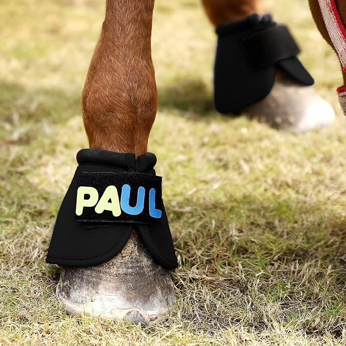 Overreach Bell Boots for Horses | Superb Hoof Protection | Easy Put On Quick Wrap Hook & Loop | Comfortable Durable | Reliable Shock Absorbing 2 Counts (Skull, Medium)