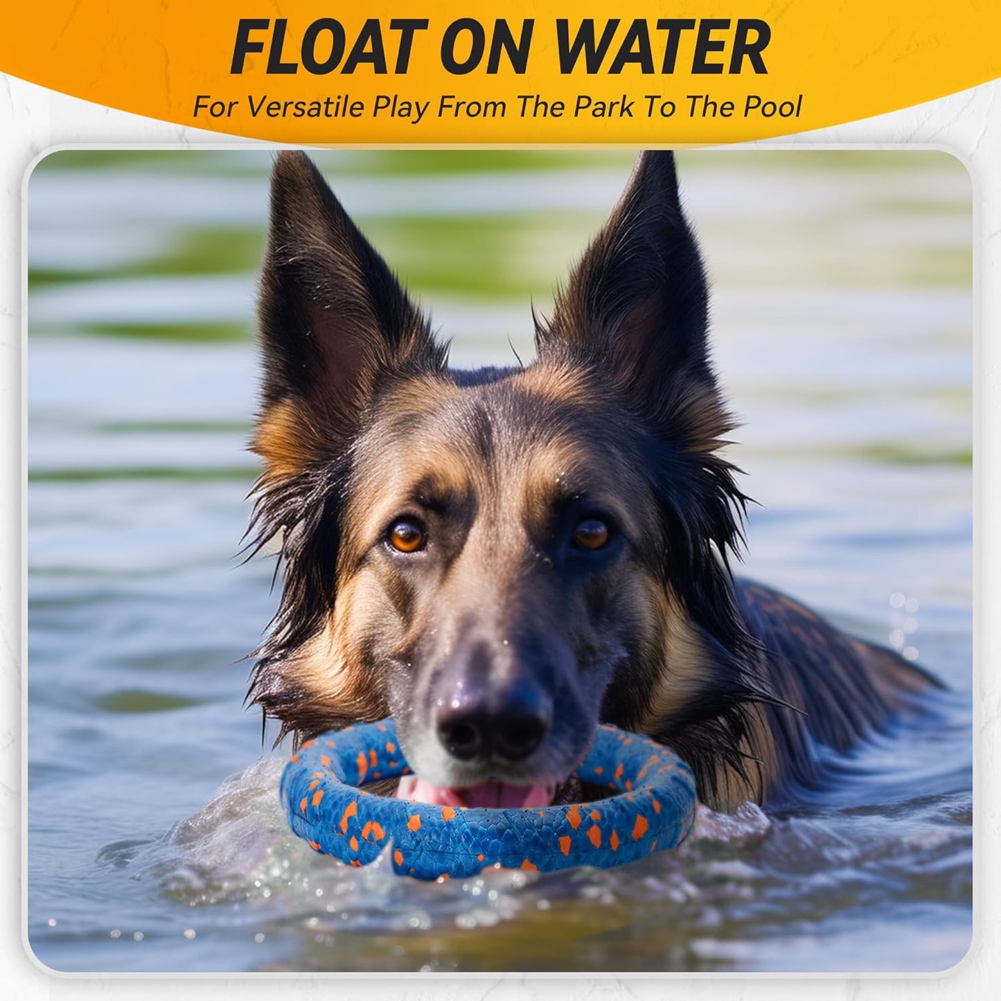 Dog Ring Toy, Indestructible Flying Discs for Throwing Catching, Water Floating Dog Training Ring for Medium Large Breeds (Blue - φ9 inches)