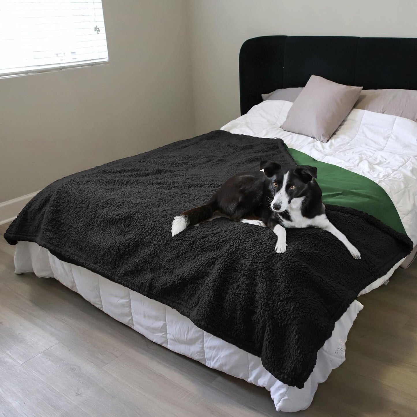 Kritter Planet Waterproof Bed Blanket, Washable Stain Proof Pad Bed Cover, Reversible Leakproof Furniture Protector, Liquid Pee Proof Blanket for Couch Sofa, 80x60 inch, Queen Size