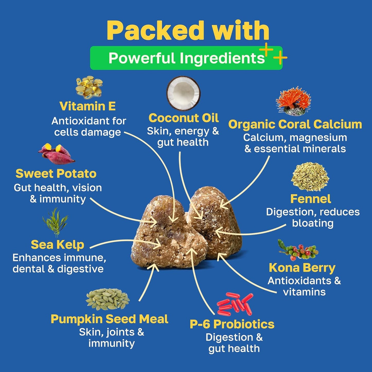 Happy Paws Probiotics for Dogs, Supplements for Gut, Skin, Coat & Immune Support for All Breeds & Ages, Made with Coconut Oil & Vitamin E, Vegan Chicken Flavor, Organic, Non GMO, 200 Soft Chews