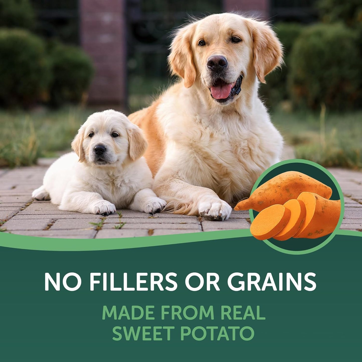 Healthfuls Sweet Potato Slices Dog Treats, 16oz