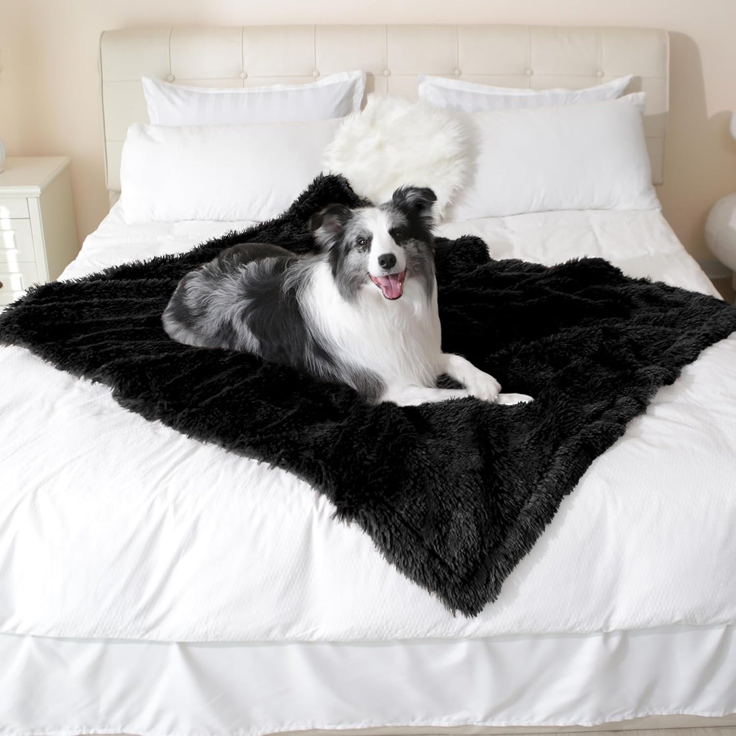 gogobunny Waterproof Dog Blanket for Large Dogs, Cats, Puppy, Reversible Faux Fur Pet Throw Blanket, Washable, Calming Furniture Protection for Sofa Bed (50x60 Inch (Pack of 1), Black)