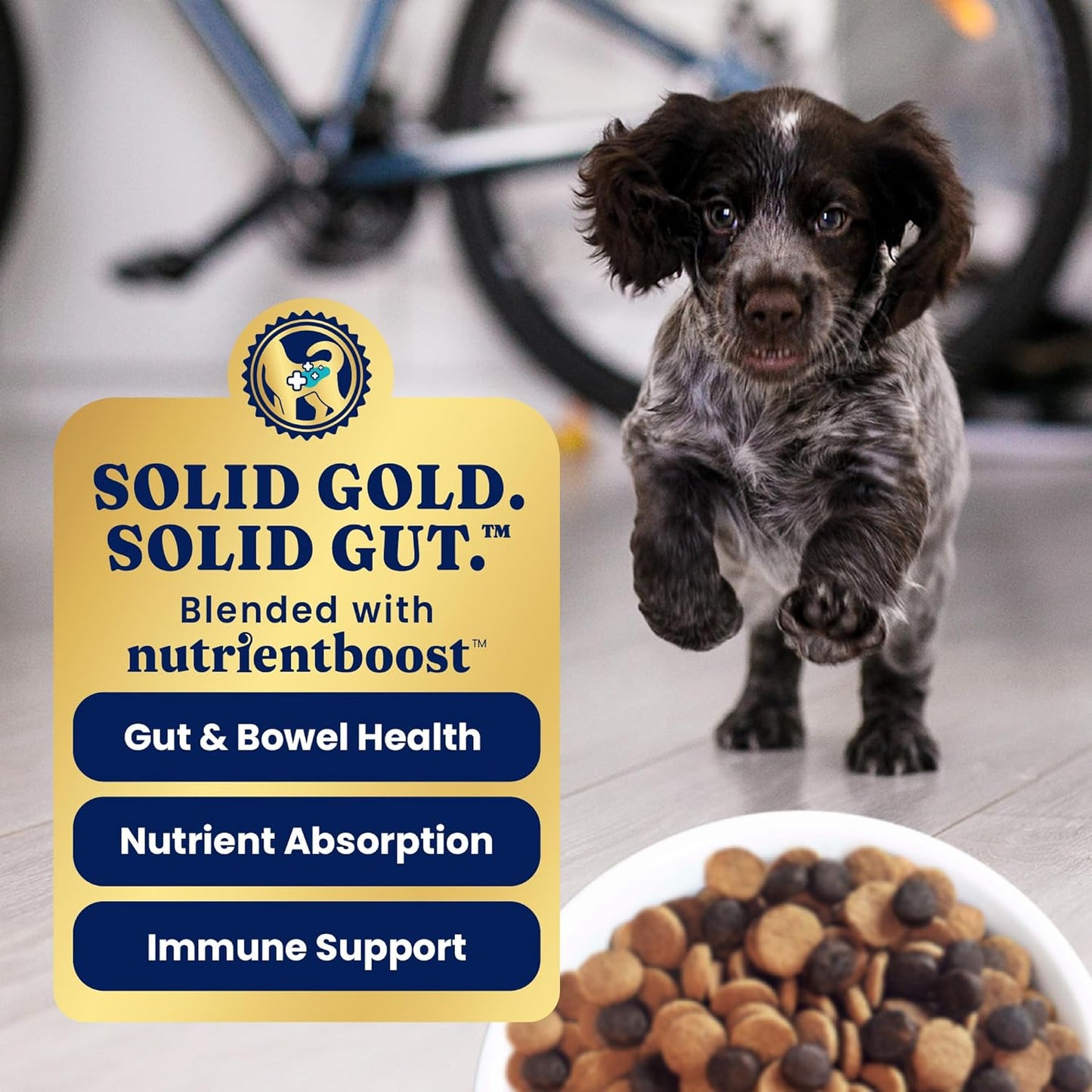 Solid Gold Chicken Dry Puppy Food - W/Real Chicken & Potato - Grain Free & Gluten Free Puppy Dog Food w/Probiotics for Gut Health & Digestion - Healthy Kibble for Puppies - Nutrientboost™ - 22 LB