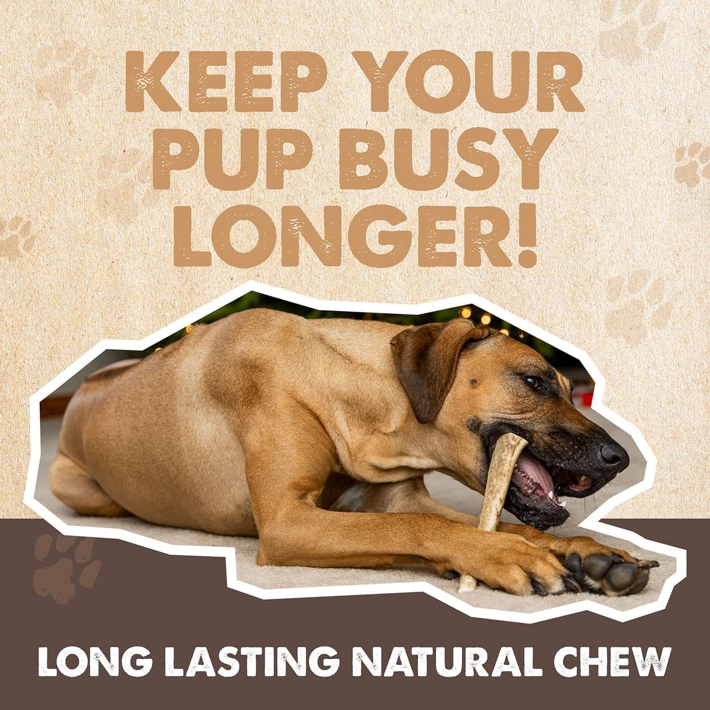 Mighty Paw Split Elk Antlers for Dogs (Sourced in The USA) | 1 Whole Monster 8"+ Long Lasting Bones for Aggressive Chewers - Naturally Shed Split Deer Antler for Dogs - Low Odor Chews (Pack of 1)