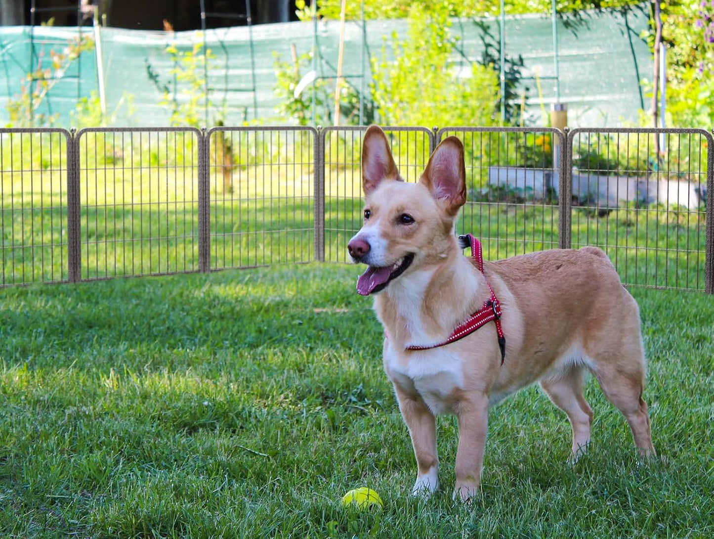 FXW Aster Dog Playpen Designed for Yard, 24inch 48 Panels