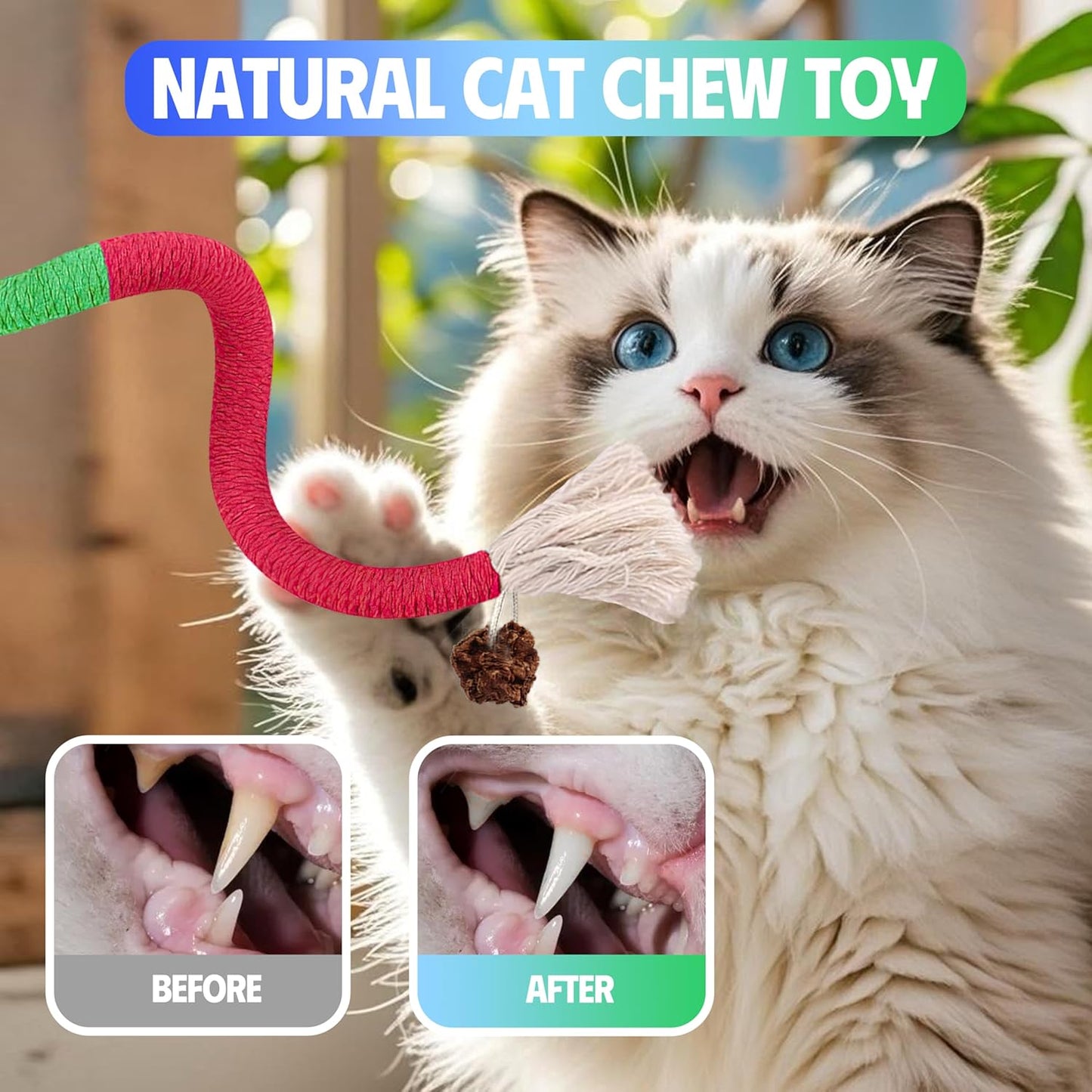 Cat Toys Chew Rope & Silvervine Sticks for Bored Indoor Adult Cats, 6Pcs Interactive Catnip Toys for Cats with Refillable Natural Catnip Bag for Teeth Cleaning