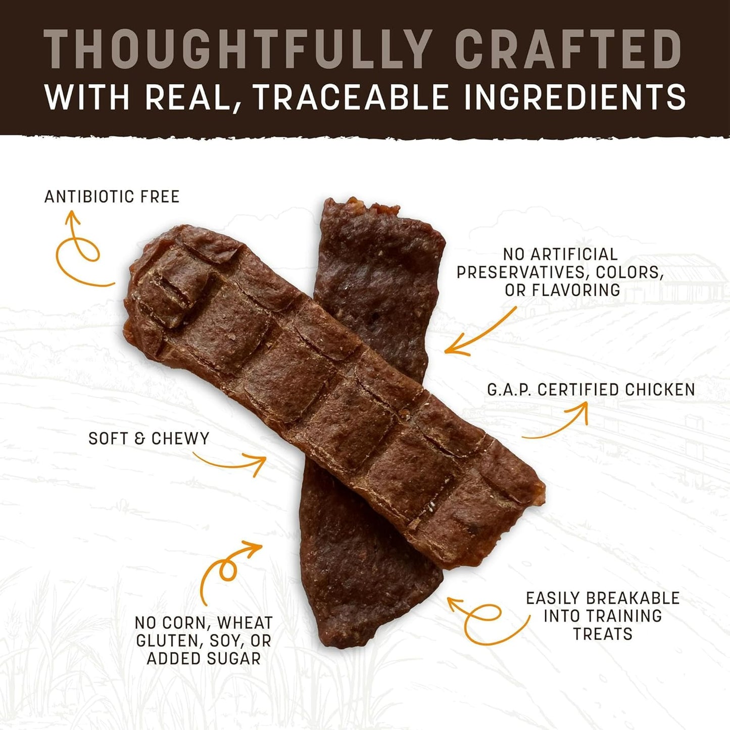 Earth Animal Wisdom Air-Dried Jerky Chicken Recipe | Dog Treats | Dog Snacks | Premium Natural Chicken Jerky Strips | 4 oz | Made in the USA (Pack of 1)