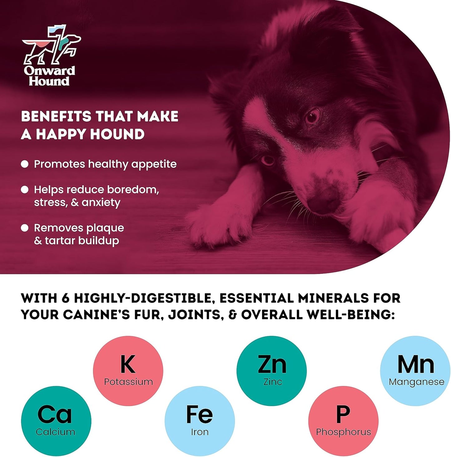 Onward Hound Elk Antlers for Dogs, 8"+ XL 1-Pack, Grade A Long Lasting Chew for Aggressive Chewers, Premium USA Naturally Shed Antler - Healthy, No Odor, Durable Dog Chew for 60-95lb Breeds