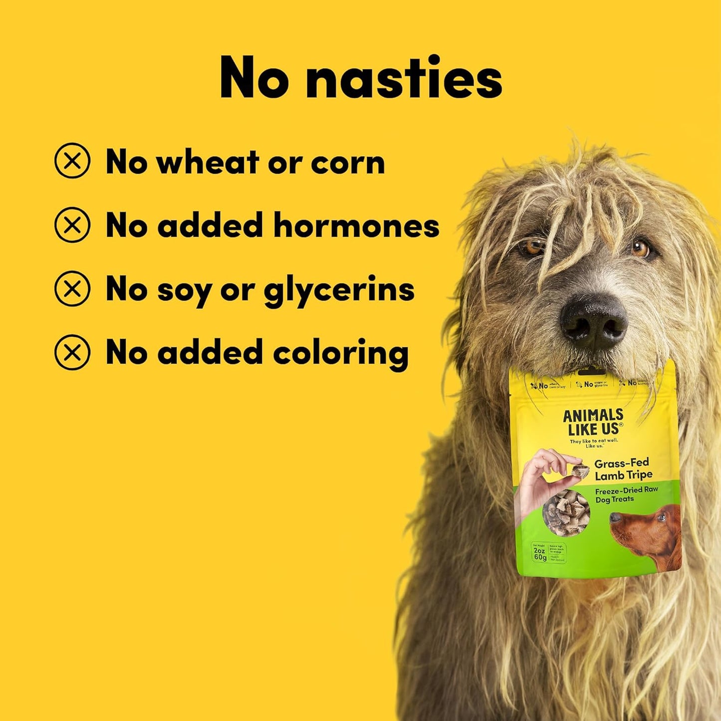Premium Dog Treats, Freeze-Dried Raw 100% Grass-Fed Lamb Tripe, Single Ingredient, Protein Rich, Non-GMO, No Wheat or Corn, 2 oz