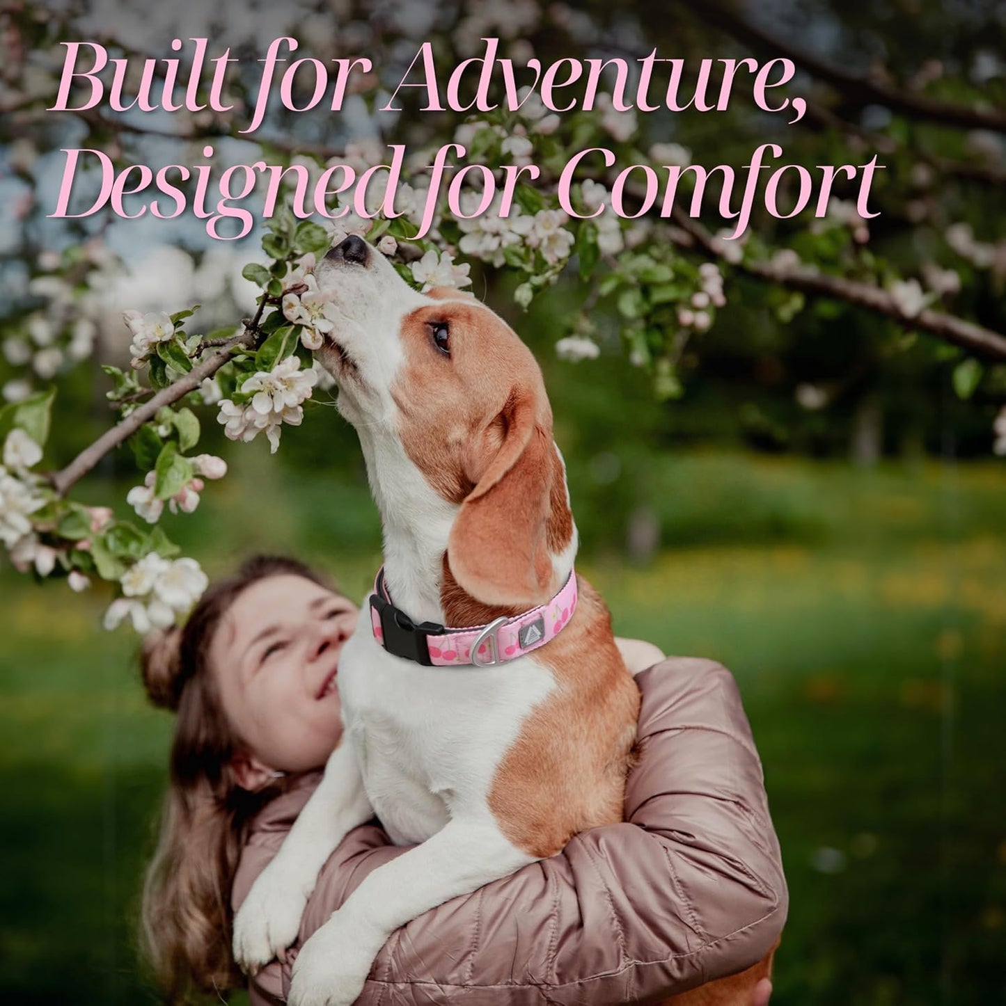 Girl Dog Collar, Pink Cute Cherry Print Reflective Padded Collar with Soft Neoprene, Adjustable Lightweight Pet Collar for Small Dogs, Puppies,Neck Size 9’’-14’’ (Cherry, S)