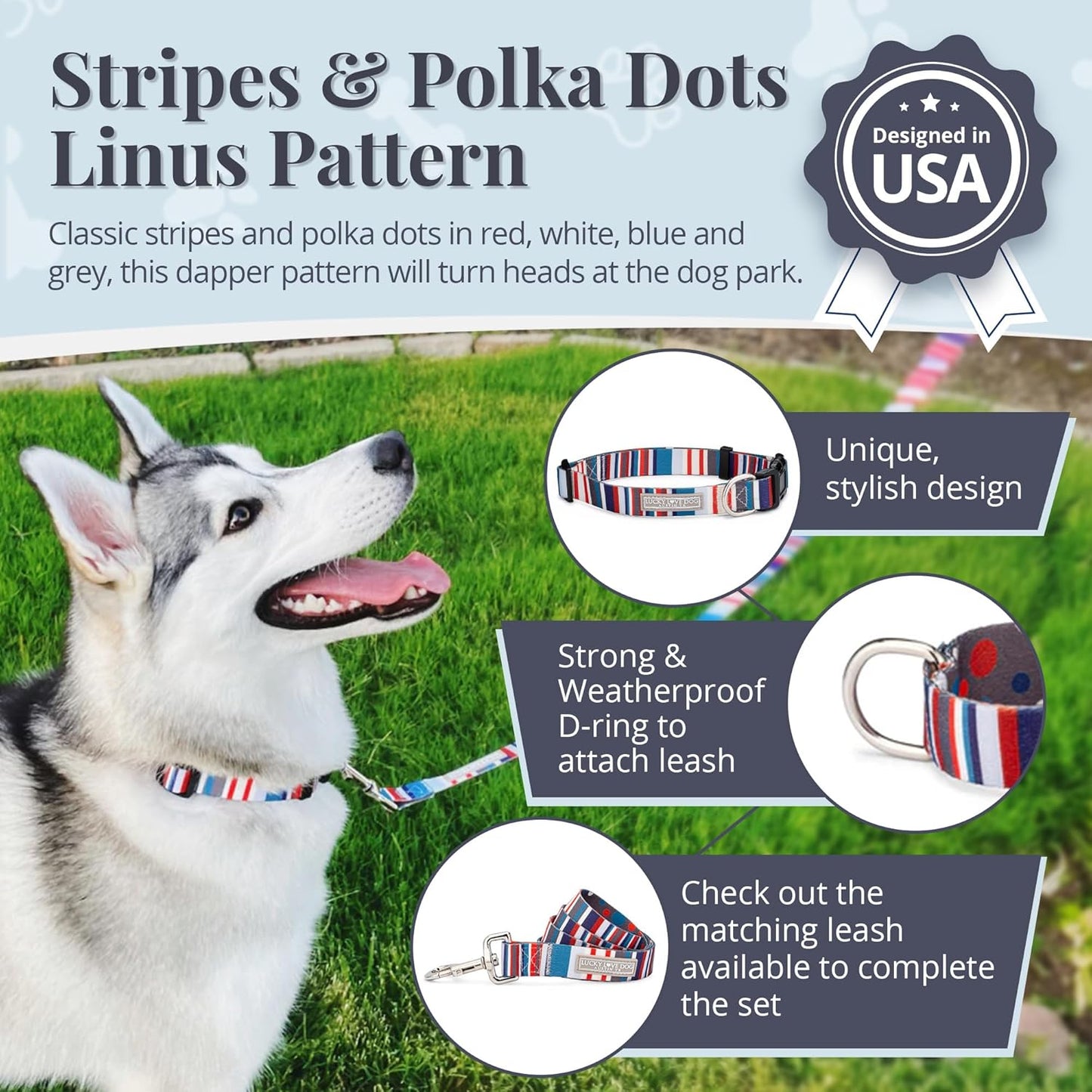 Lucky Love Dog - Adjustable Dog Collar with Easy Click Buckle for Small to Large Dogs, Durable, & Comfortable for Male & Female Dogs, Pet Collar for Puppies & Adult Ones - Linus, Medium