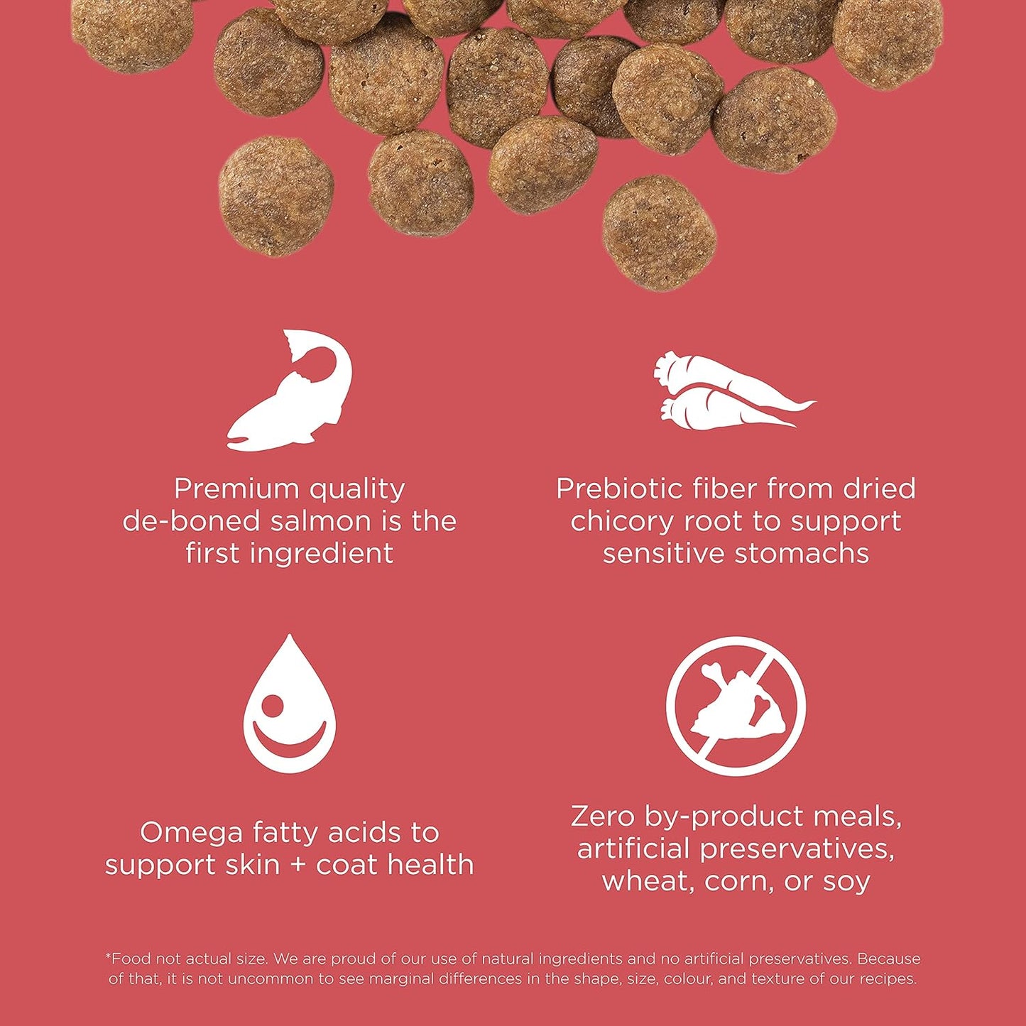 Go! Solutions Sensitivities Limited Ingredients, Grain-Free Dry Dog Food, Salmon Recipe for Sensitive Stomach, 22 lb Bag