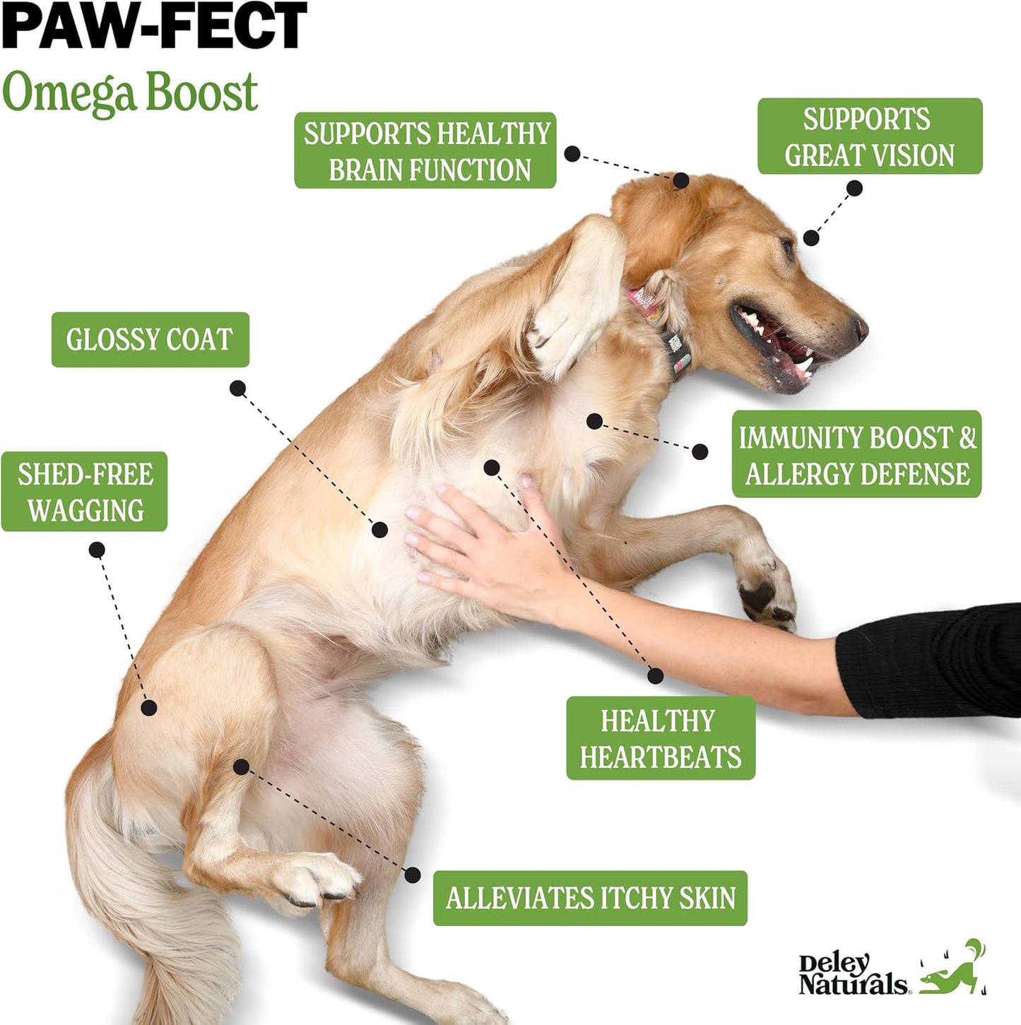 Deley Naturals Dog Fish Oil Icelandic 2X Omega - Dog Itching Skin Relief with Omega 3 6 9 for Allergies, Coat & Heart - Omega 3 Fish Oil for Dogs Skin Irritation - 4oz Omega Oil for Dogs Made in USA